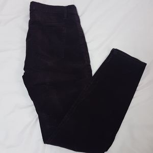 Gap Pant